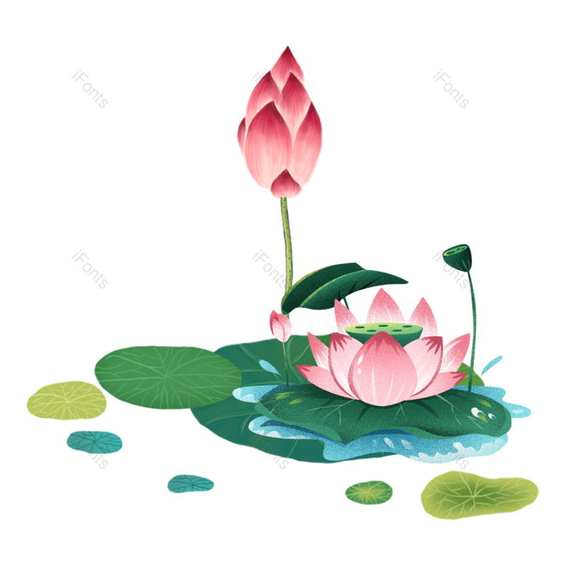 中国风图片,荷花元素,古风PNG,国画免抠素材